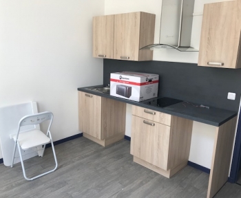 Location Studio 1 pièce Issoudun (36100) - Rue aux Lièvres