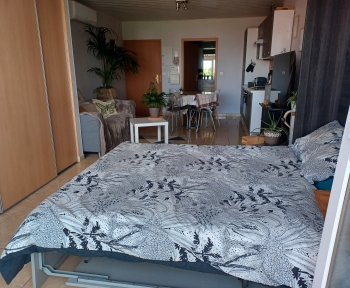 Location Appartement 1 pièce Ensisheim (68190)